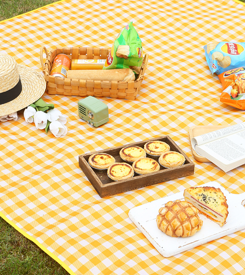 Waterproof Picnic Mat Blanket – 200 × 200 cm